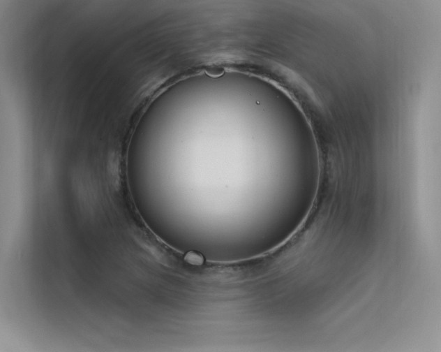 X0000112421217200908141404