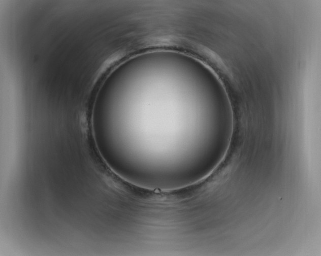 X0000112421218200908141404