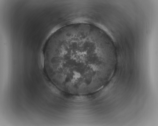 X0000112421219200908141404