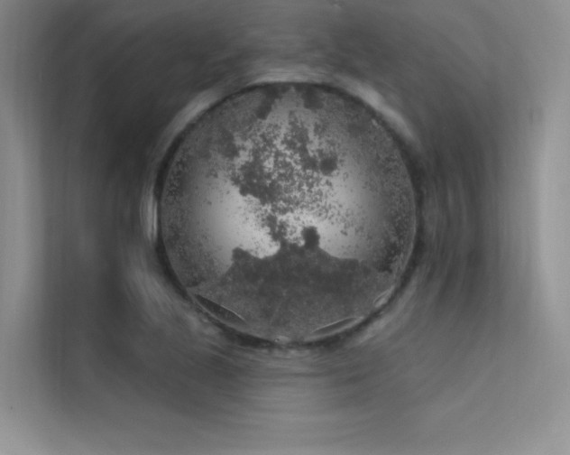 X0000112421221200908141404