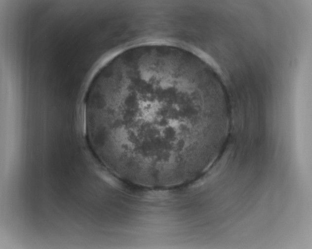 X0000112421223200908141404