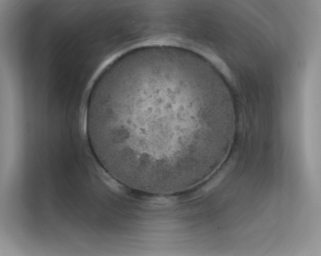 X0000112421224200908141404
