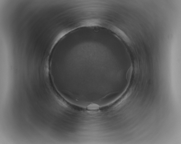 X0000112421226200908141404