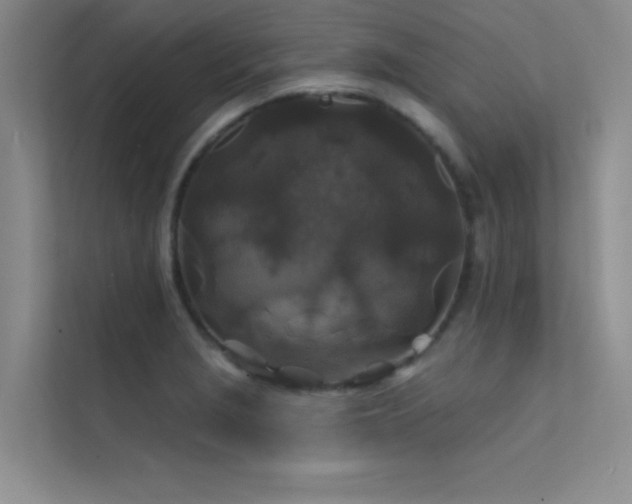 X0000112421229200908141404