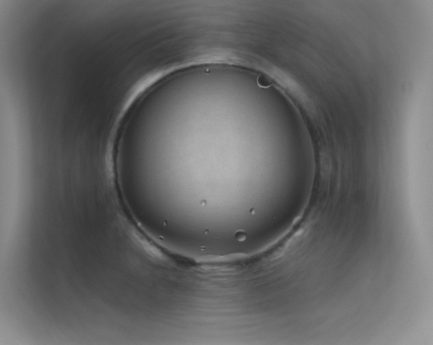 X0000112421230200908141404