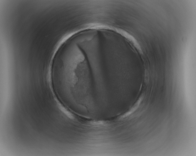 X0000112421231200908141404