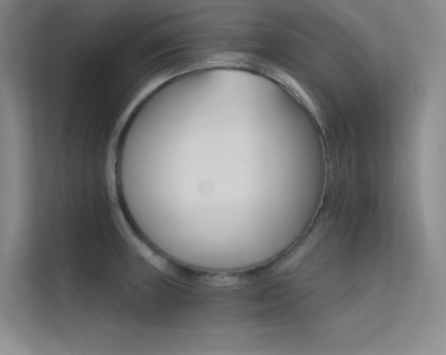 X0000112421235200908141404
