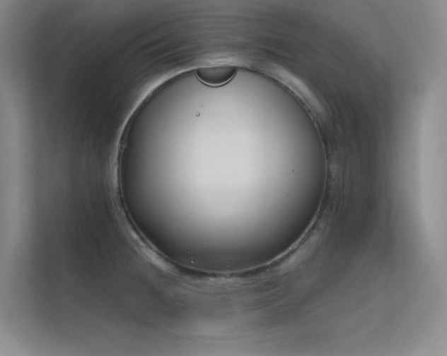 X0000112421236200908141404