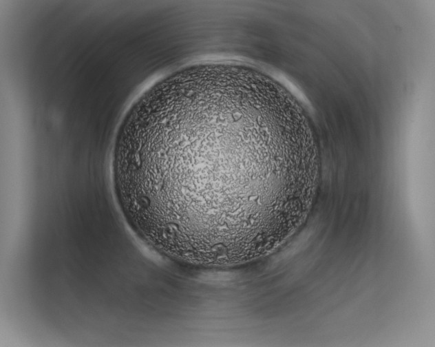 X0000112421237200908141404