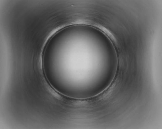 X0000112421238200908141404