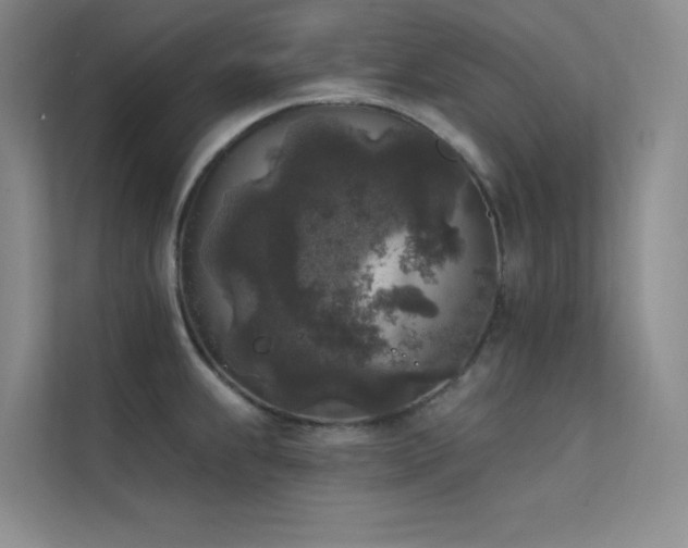 X0000112421239200908141404