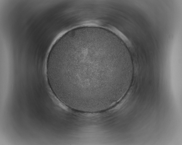 X0000112421240200908141404