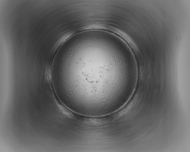 X0000112421241200908141404