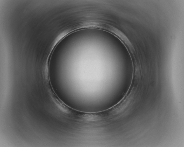 X0000112421242200908141404