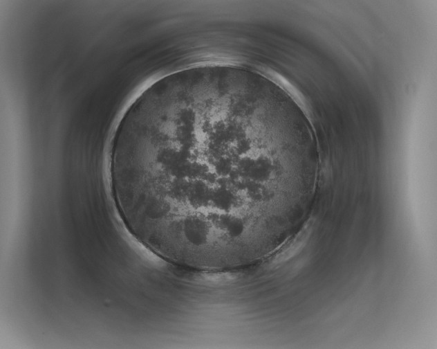 X0000112421243200908141404
