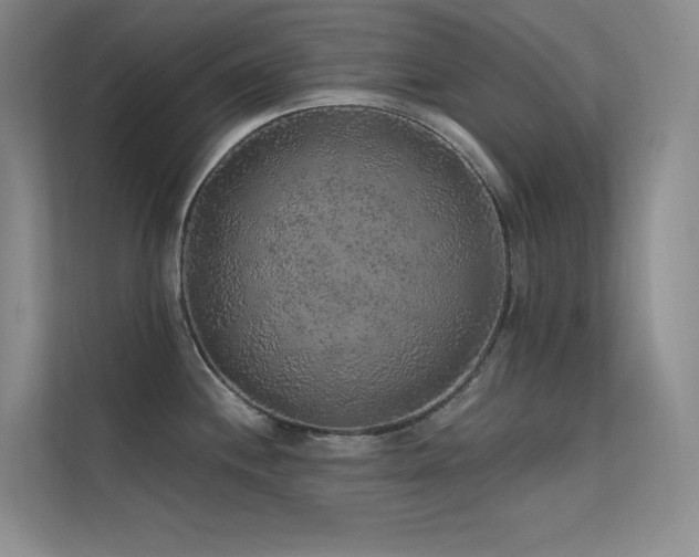 X0000112421244200908141404