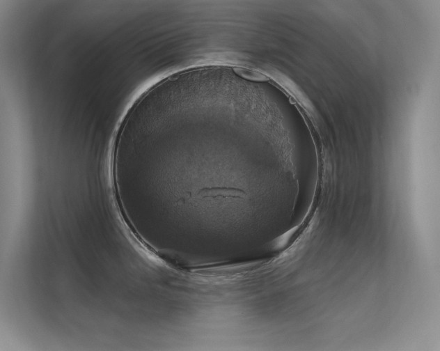 X0000112421246200908141404