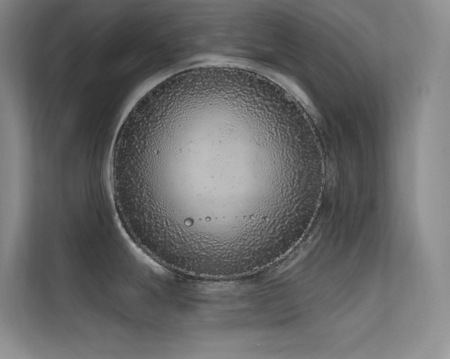 X0000112421247200908141404