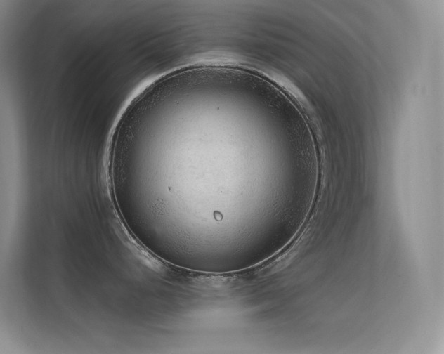 X0000112421248200908141404