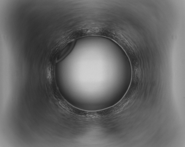 X0000112421250200908141404