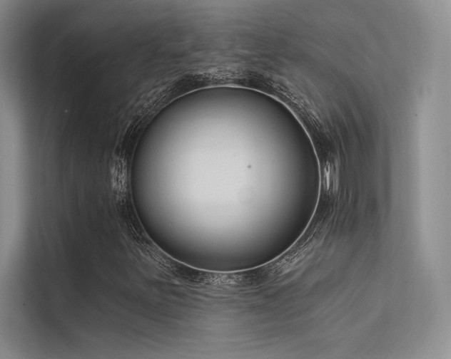 X0000112421251200908141404