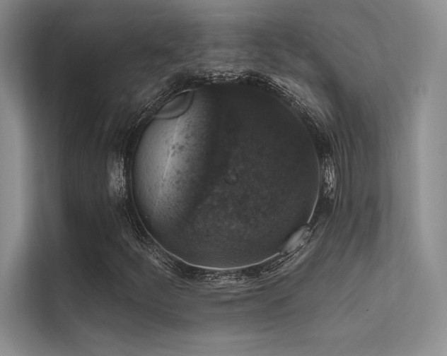 X0000112421252200908141404