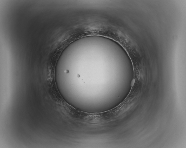 X0000112421253200908141404