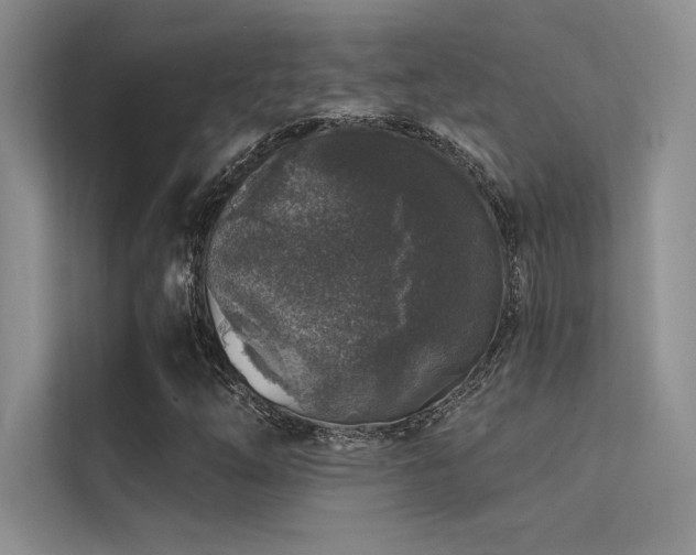 X0000112421254200908141404