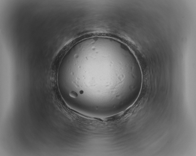 X0000112421255200908141404