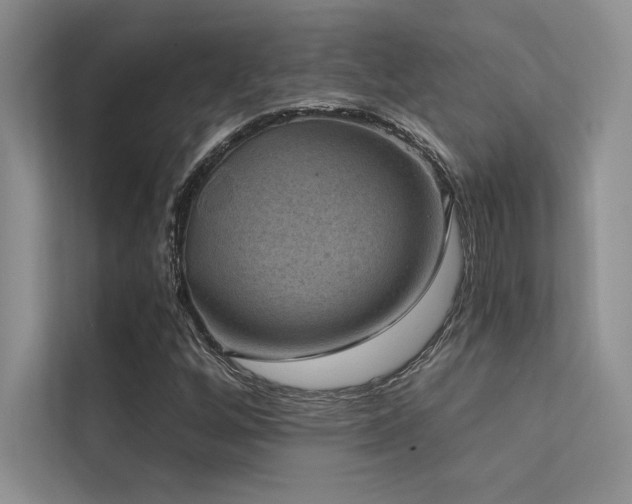 X0000112421256200908141404