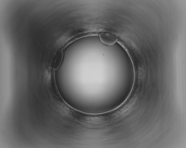 X0000112421257200908141404