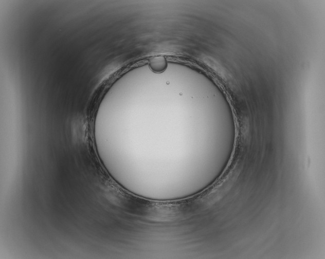 X0000112421258200908141404