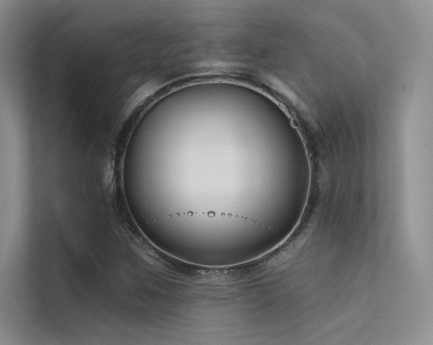 X0000112421259200908141404