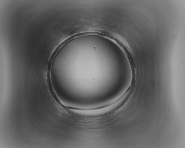 X0000112421260200908141404
