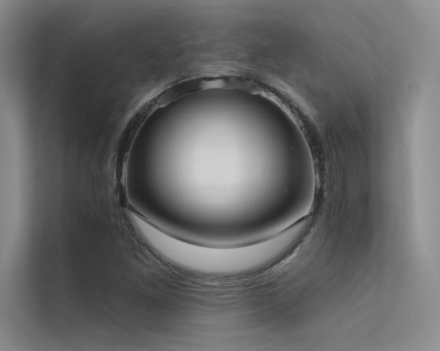 X0000112421261200908141404