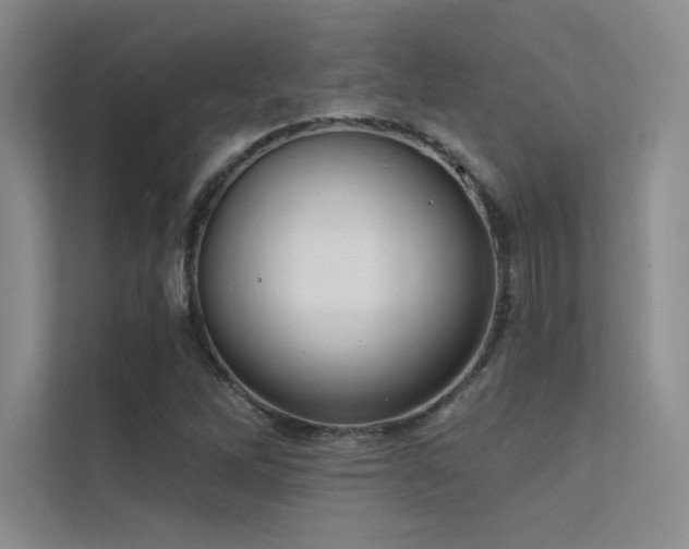 X0000112421262200908141404
