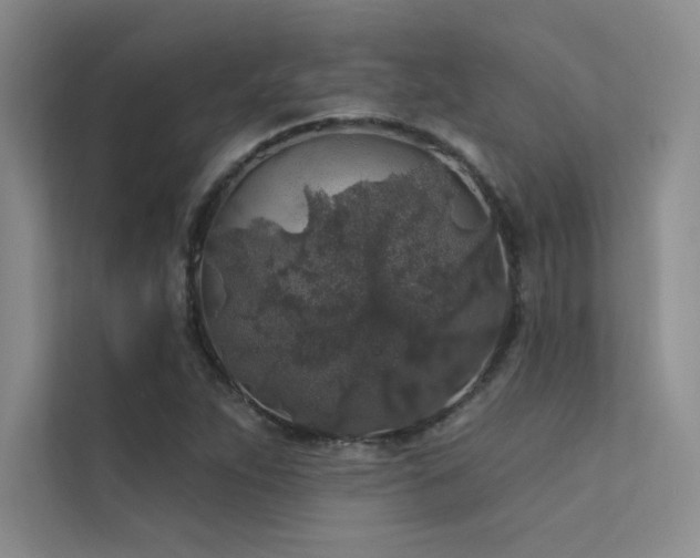 X0000112421263200908141403