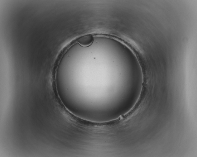 X0000112421264200908141403