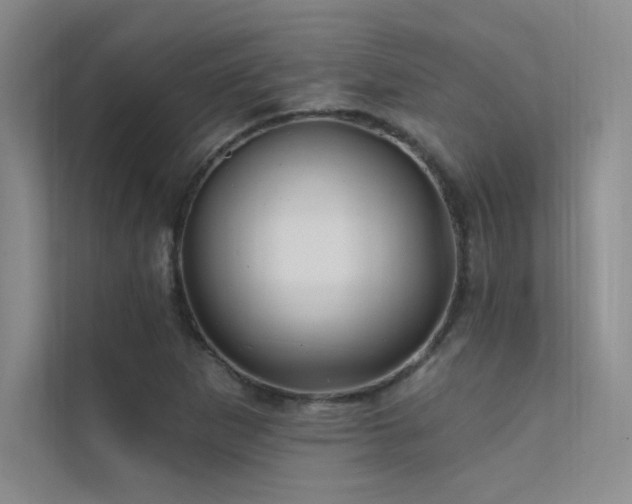 X0000112421265200908141403
