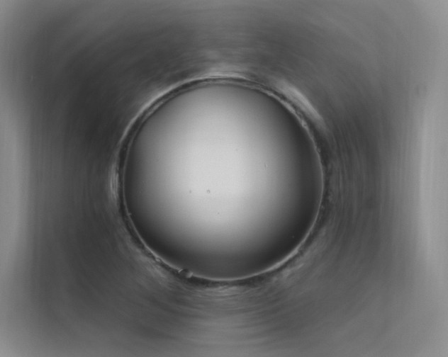 X0000112421268200908141403