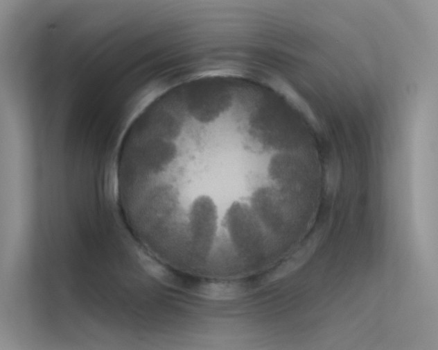 X0000112421274200908141403