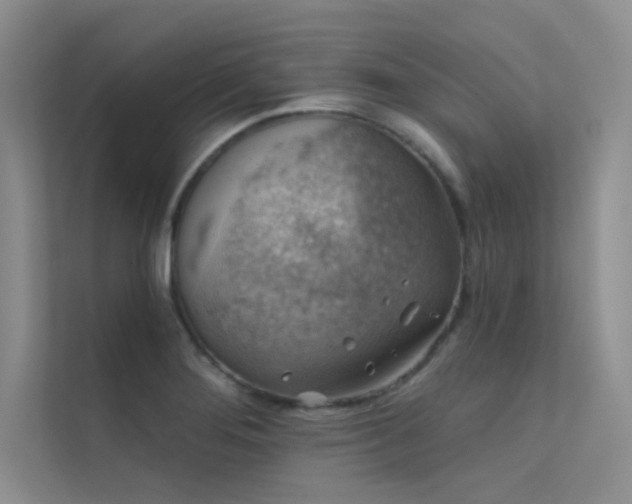 X0000112421276200908141403