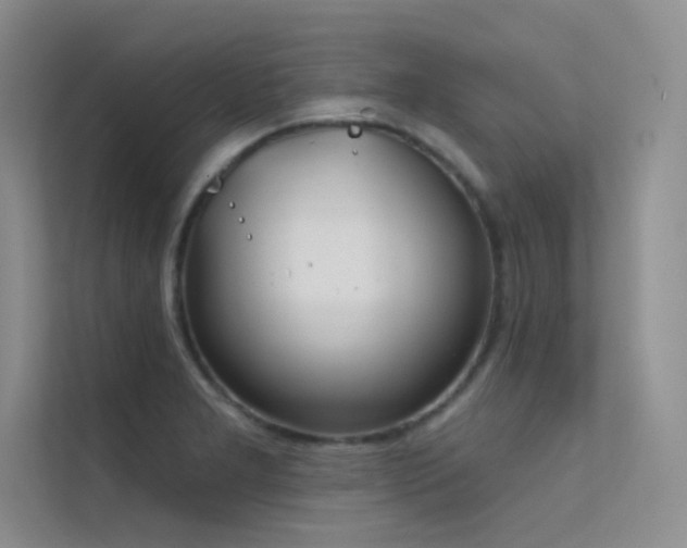 X0000112421277200908141403
