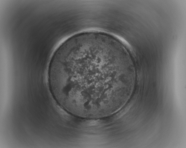 X0000112421279200908141403