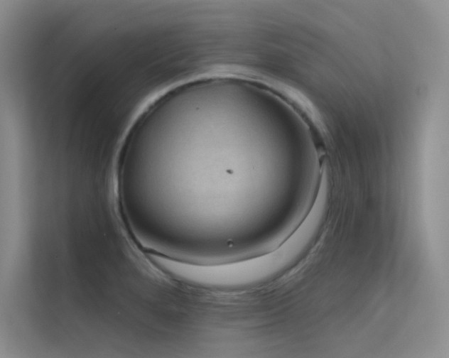 X0000112421280200908141403