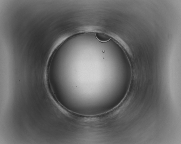 X0000112421285200908141403