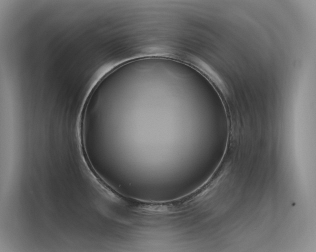 X0000112421291200908141403
