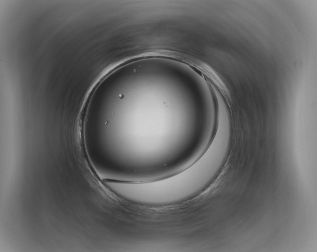 X0000112421292200908141403