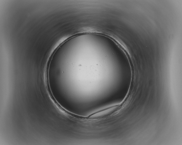 X0000112421293200908141403