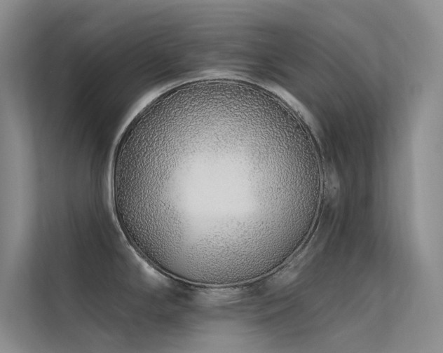 X0000112421294200908141403